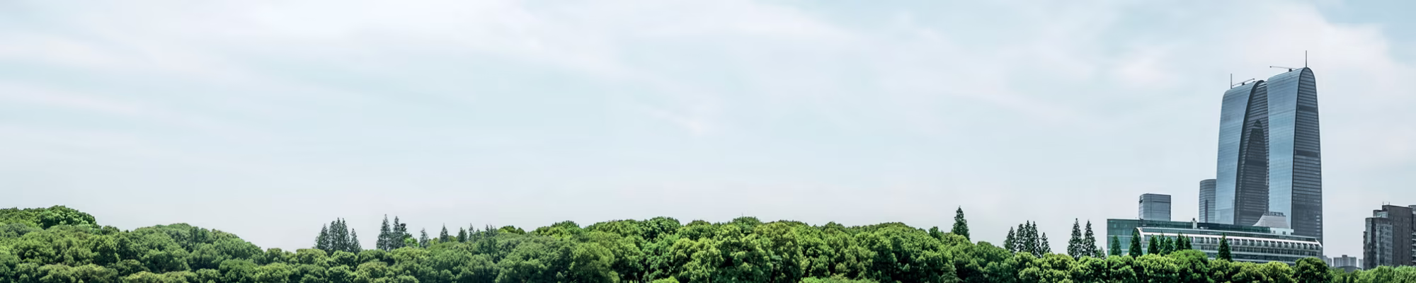 Background-flexibility-and-sustainability